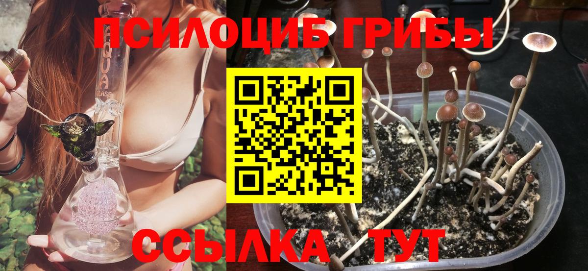 Псилоцибиновые грибы MAGIC MUSHROOMS Анжеро-Судженск