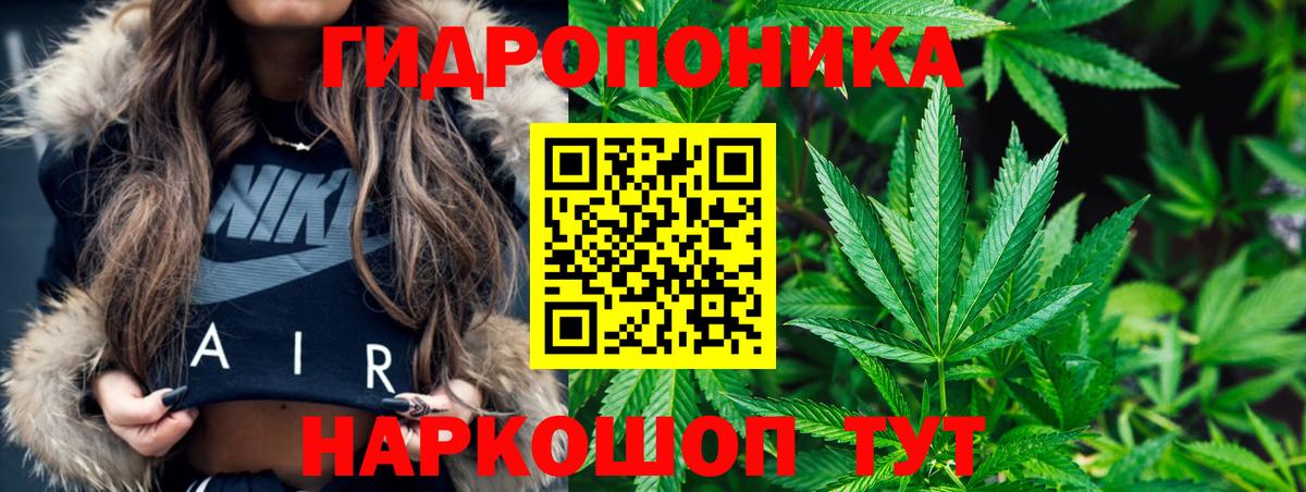 Конопля тримм  Вход с VPN  Конопля ГИДРОПОН  Конопля планчик  МАРИХУАНА планчик  Анжеро-Судженск 